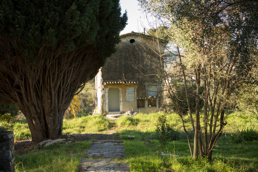 in the centre is a small house with a path leading to it. There is a dark tree on the left and a spindly tree on the right.